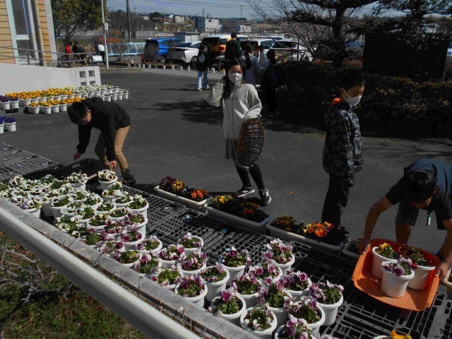 鉢植え花の搬入