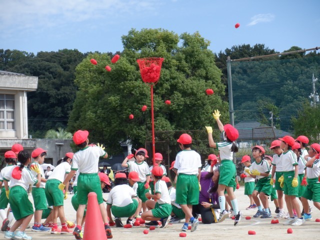 https://agui.schoolweb.ne.jp/2310258/blog_img/54293318?tm=20241022131628